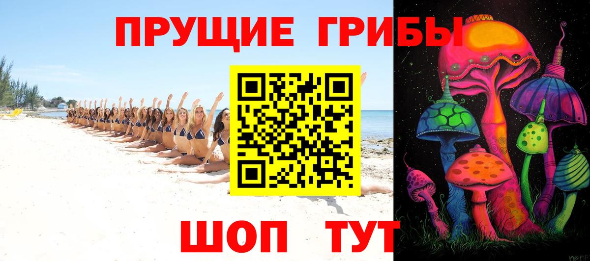 Псилоцибиновые грибы Cubensis  Галлюциногенные грибы ЛСД  Вход с VPN  Дмитров 